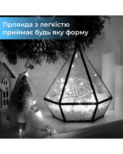Гірлянда кінський хвіст Роса 10 ниток на 200 LED лампочок світлодіодна мідний провід 2 м по 20 діодів Білий Гірлянда кінський хвіст Роса 10 ниток на 200 LED лампочок світлодіодна мідний провід 2 м по 20 діодів Білий