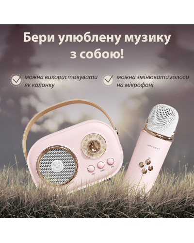 Колонка Bluetooth бездротова портативна з мікрофоном потужна колонка з вологозахистом TF card Platinum C-20