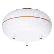 Відро для сміття настільне 23×23×13 (см) з кришкою HP-45-4